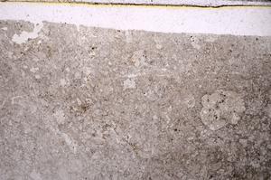 Plane Polarized, E45894