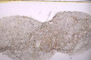 Plane Polarized, E45896