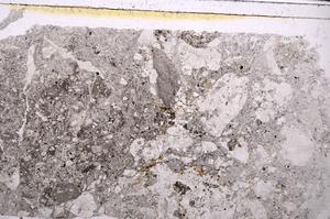 Plane Polarized, E45897/A