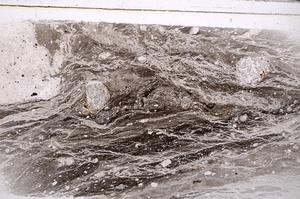 Plane Polarized, E45899