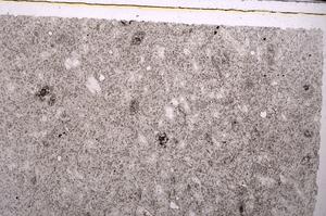 Plane Polarized, E45904