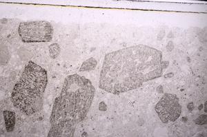 Plane Polarized, E45913