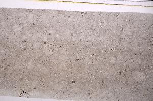 Plane Polarized, E45914
