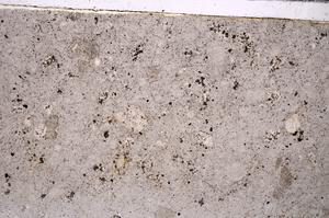 Plane Polarized, E45915