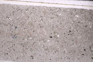 Plane Polarized, E45919