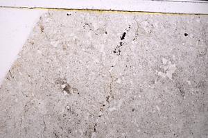 Plane Polarized, E45920/A