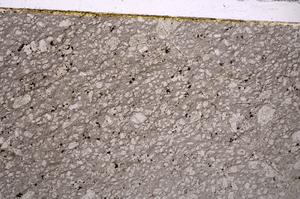 Plane Polarized, E45920/B