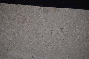 Cross Polarized, E45925