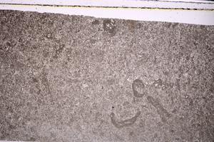 Plane Polarized, E45925