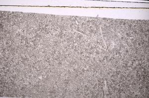 Plane Polarized, E45926