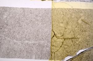 Plane Polarized, E45928