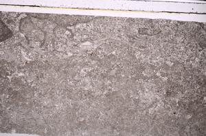 Plane Polarized, E45929