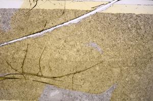 Plane Polarized, E45930