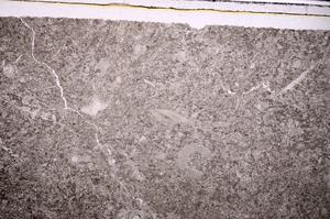 Plane Polarized, E45931