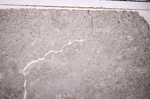 Plane Polarized, E45934