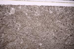 Plane Polarized, E45936