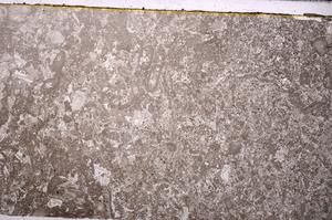 Plane Polarized, E45939