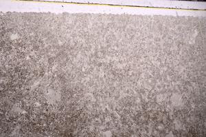 Plane Polarized, E45941
