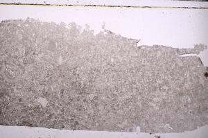 Plane Polarized, E45942