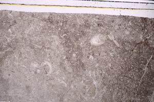 Plane Polarized, E45943