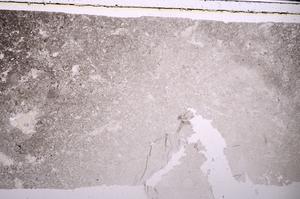 Plane Polarized, E45944
