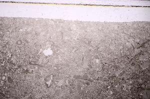Plane Polarized, E45945
