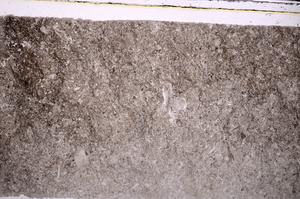 Plane Polarized, E45946
