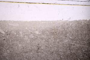 Plane Polarized, E45947