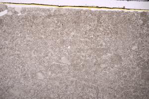 Plane Polarized, E45949