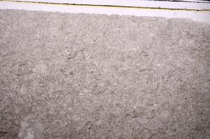 Plane Polarized, E45951