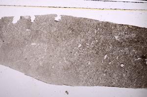 Plane Polarized, E45953