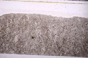 Plane Polarized, E45955