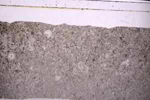 Plane Polarized, E45957