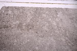 Plane Polarized, E45960