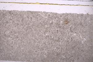 Plane Polarized, E45961