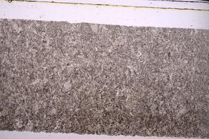 Plane Polarized, E45962
