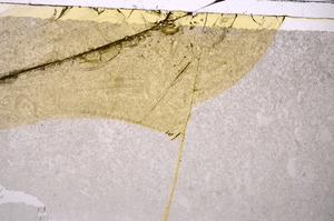 Plane Polarized, E45967
