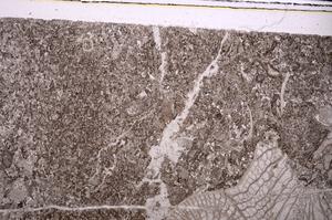 Plane Polarized, E45969