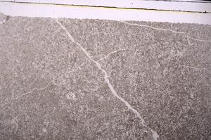 Plane Polarized, E45970