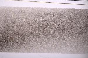 Plane Polarized, E45972