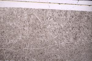 Plane Polarized, E45974
