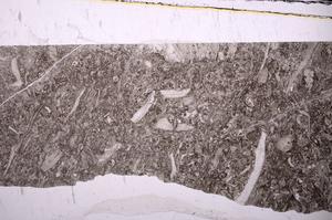 Plane Polarized, E45975
