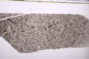 Plane Polarized, E45979