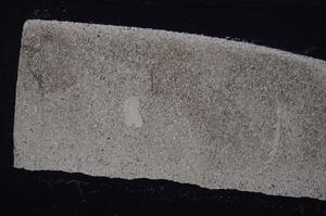 Cross Polarized, E45981