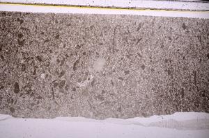 Plane Polarized, E45984
