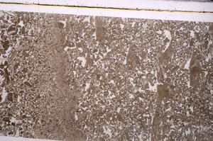 Plane Polarized, E45985