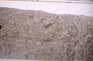 Plane Polarized, E45986