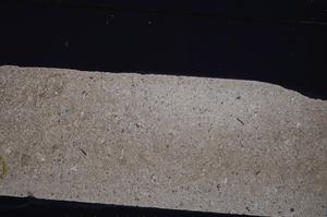 Cross Polarized, E45988