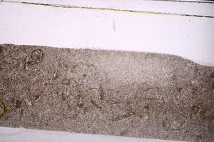 Plane Polarized, E45988