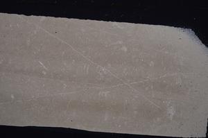 Cross Polarized, E45989